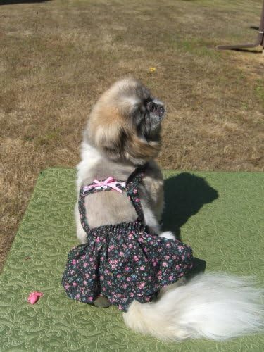 Joybies Cvjetna piddle suknja za srednje žensko psa