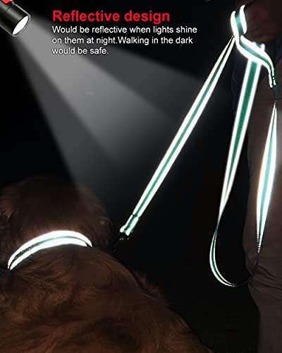 Joytale 11-16 '' Ovratnik za pse i 6ft dvostrani reflektirajući uzice, osvjetljavanje punjive noćne sigurnosti za hodanje