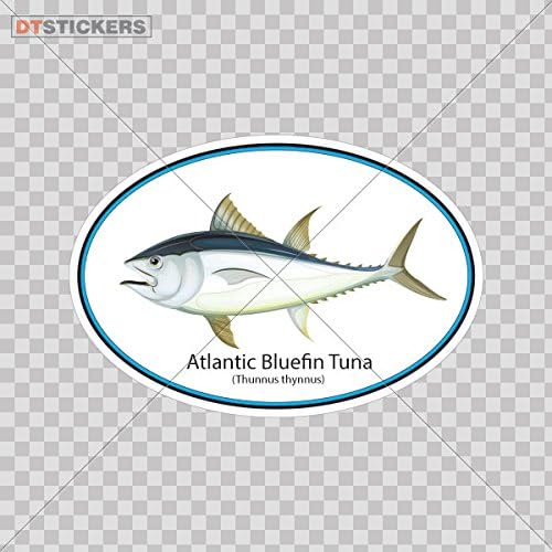 Hobby vinil naljepnica atlantska plava fin tuna hobi dekor Potpuno vodootporna tiskana vinilna naljepnica